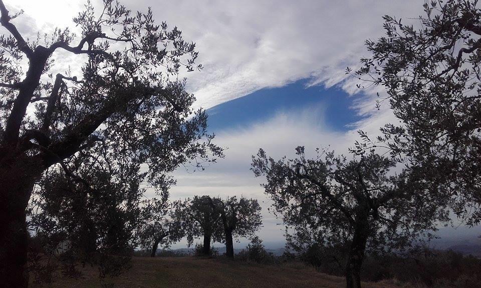 Tramonti E Valli Calvi dell' Umbria Bagian luar foto